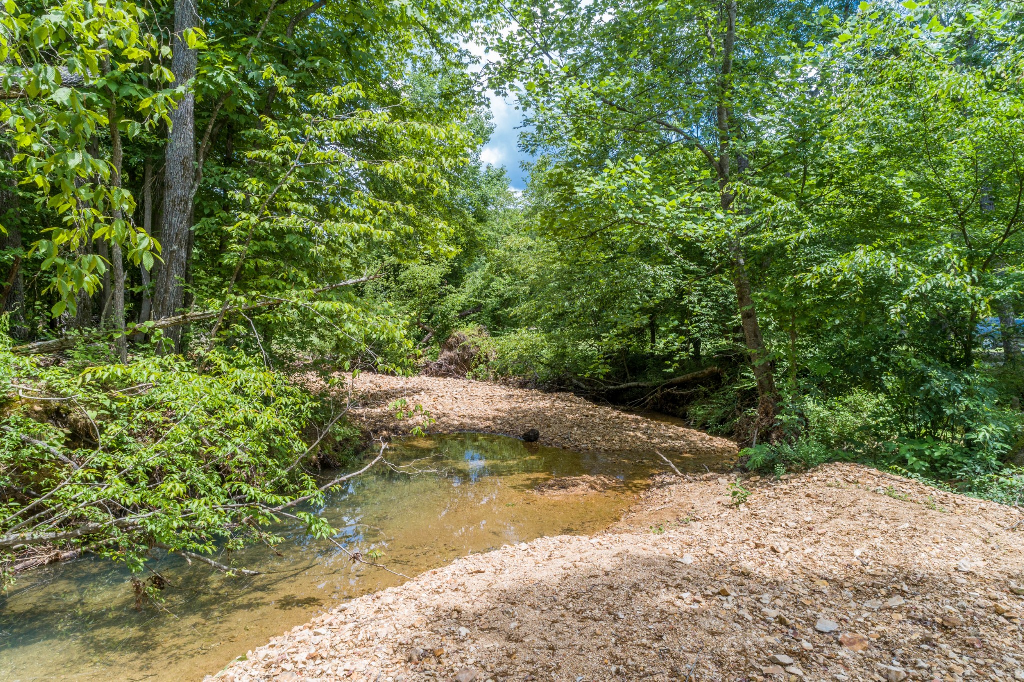 1829 Deer Creek Road Linden, TN 37096 - Photo 42 of 50 Gallery Image 42