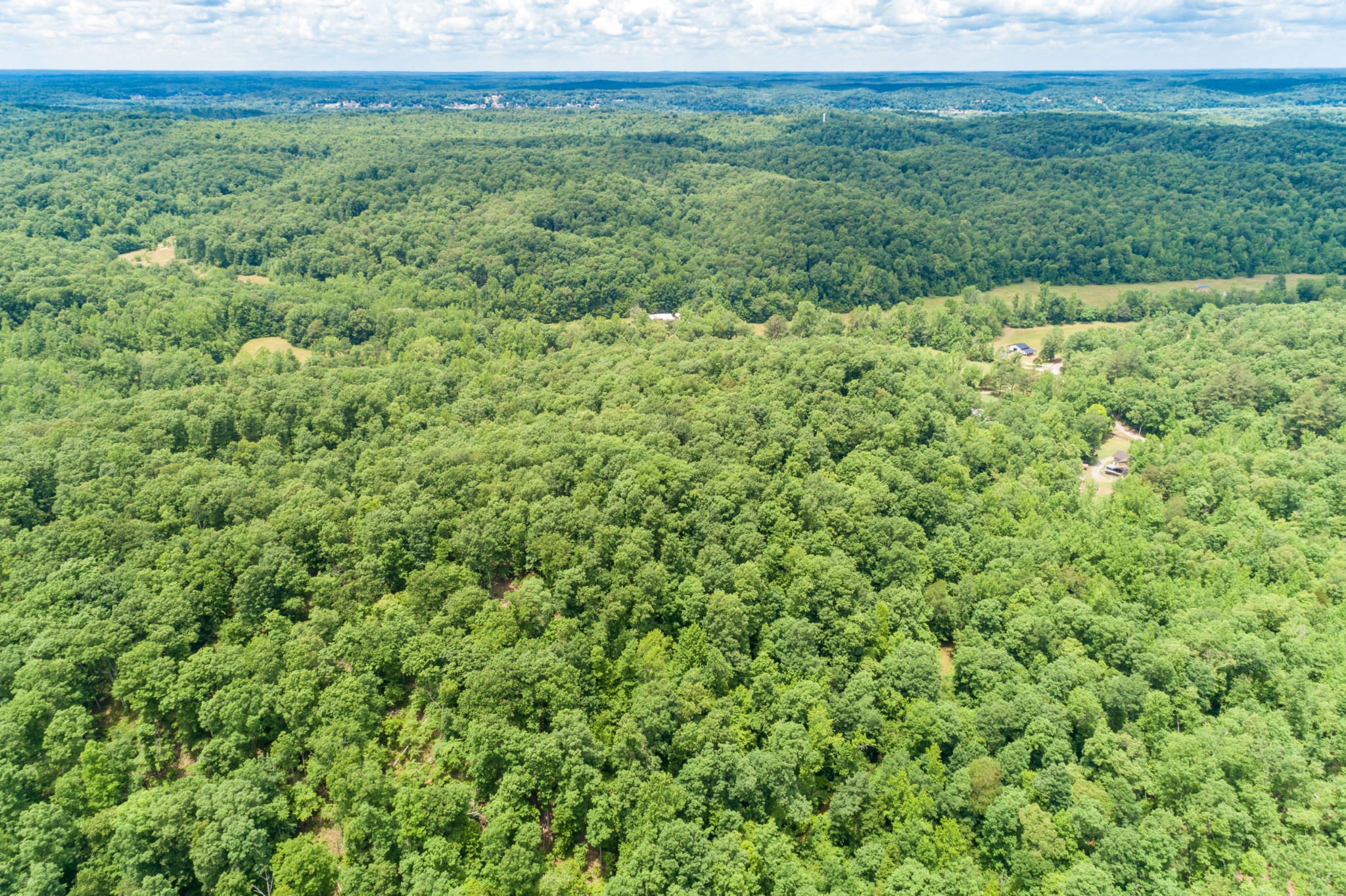 1829 Deer Creek Road Linden, TN 37096 - Photo 45 of 50 Gallery Image 45