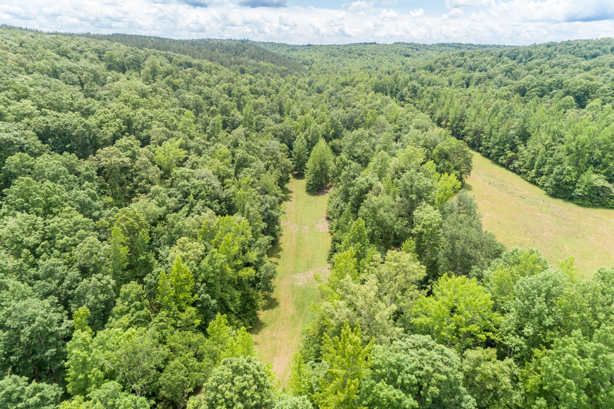 1829 Deer Creek Road Linden, TN 37096 - Photo 50 of 50 Gallery Image 50
