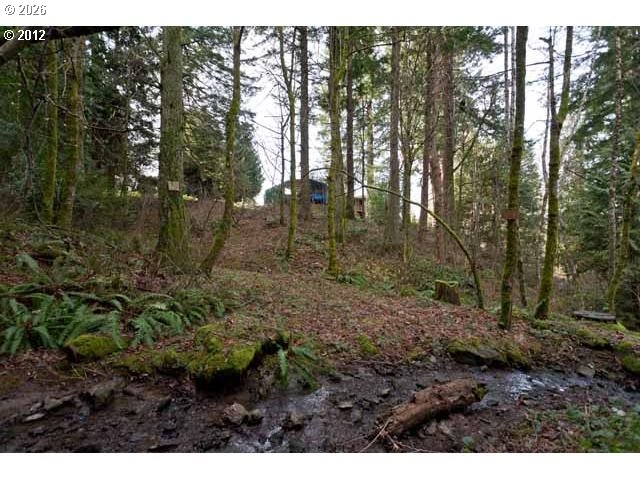 1880 Southwest Heiney Road Gresham, OR 97080 - Photo 44 of 48