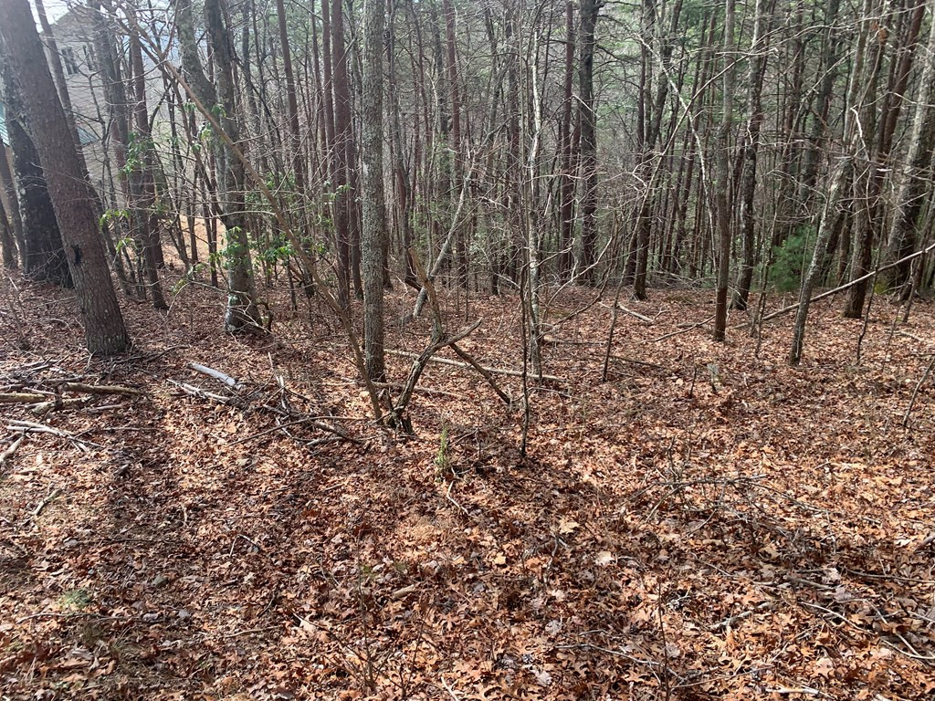 Lot 20 Wolf Ridge Lane Murphy, NC 28906 - Photo 9 of 27
