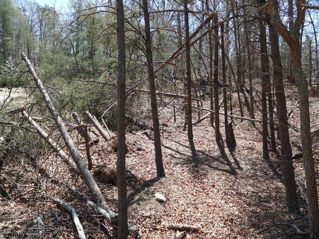 351 Shaws Mill Road Newport, NJ 08345 - Photo 66 of 84
