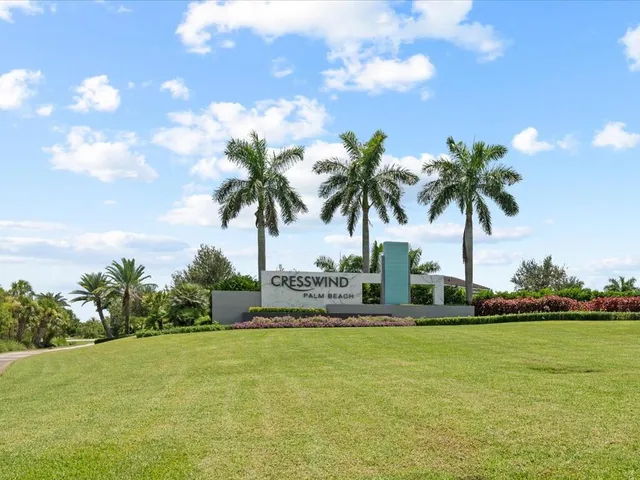 a palm tree sitting in front of a house with a big yard
