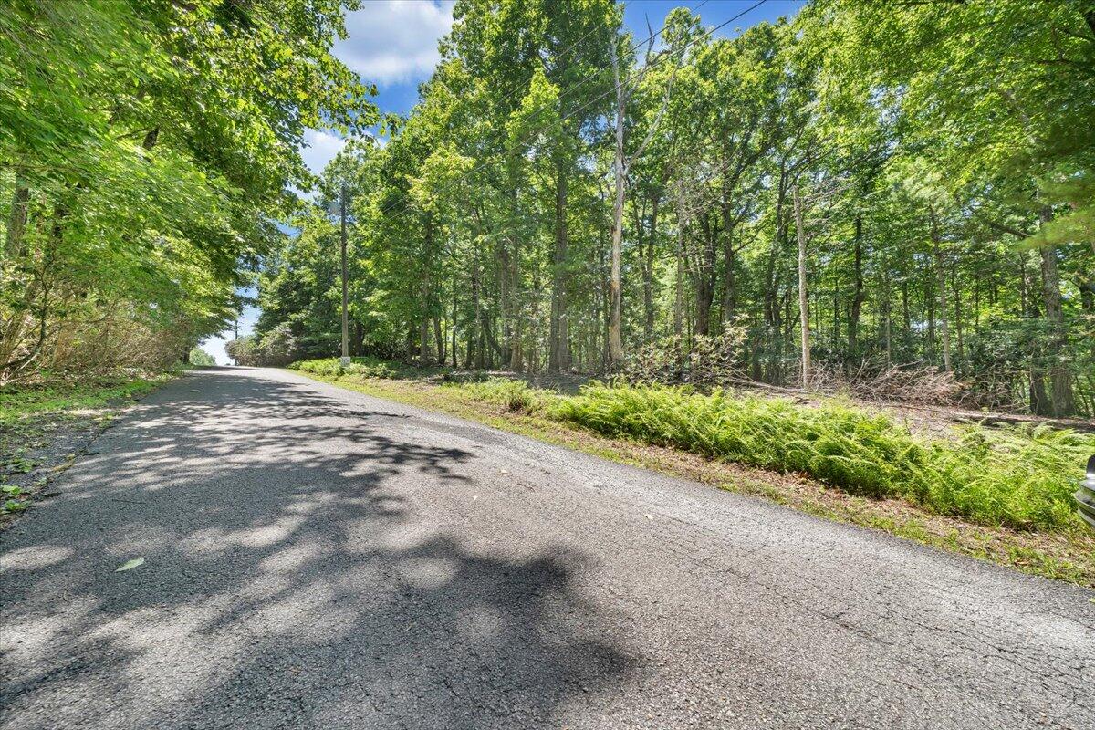 Tbd Dogwood Ridge Fancy Gap, VA 24328 - Photo 3 of 24 18-MIB08732