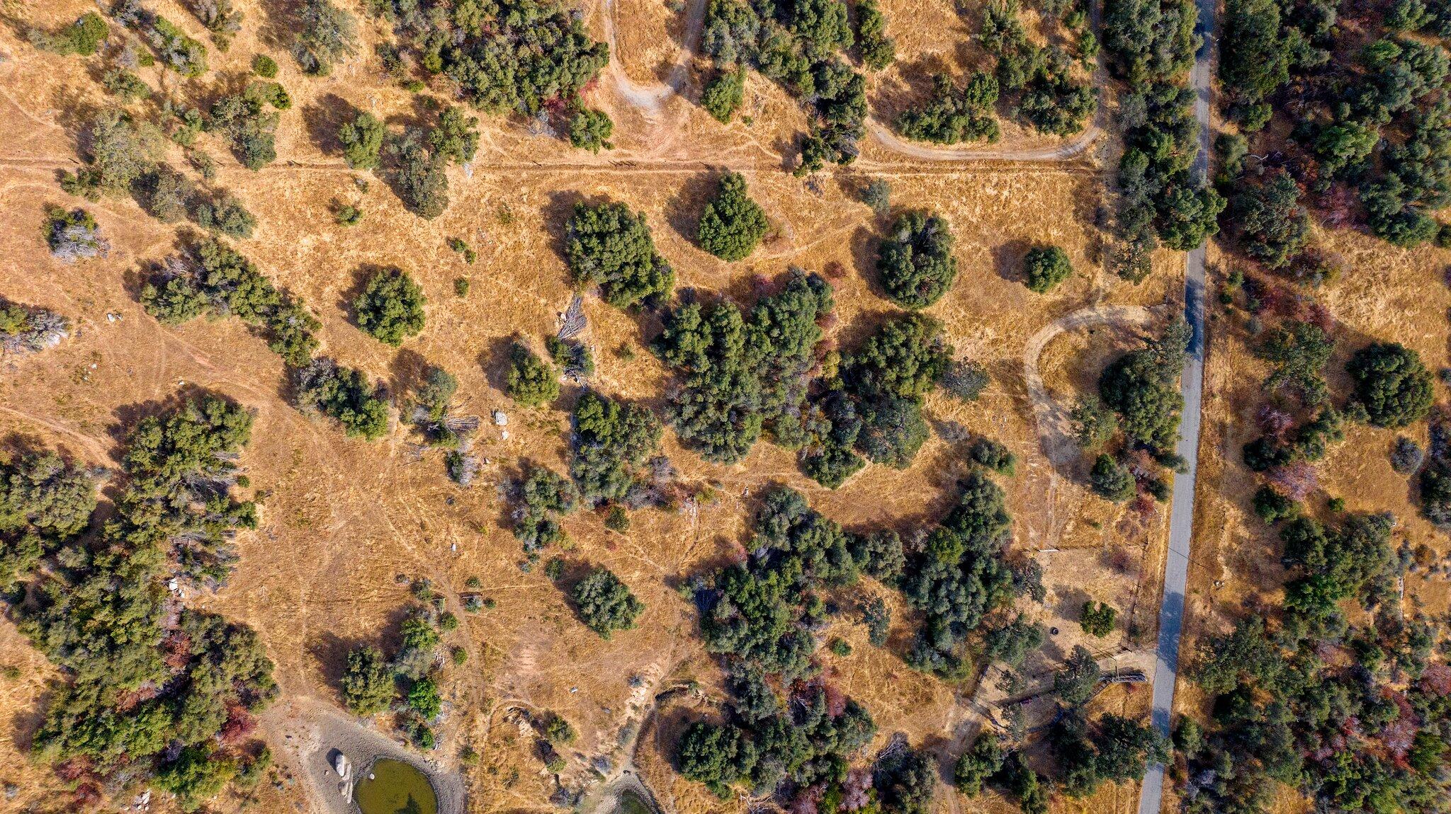 0 Whitaker Forest Road Badger, CA 93603 - Photo 8 of 13 3-web-or-mls-DJI_20241007093704_0419_D