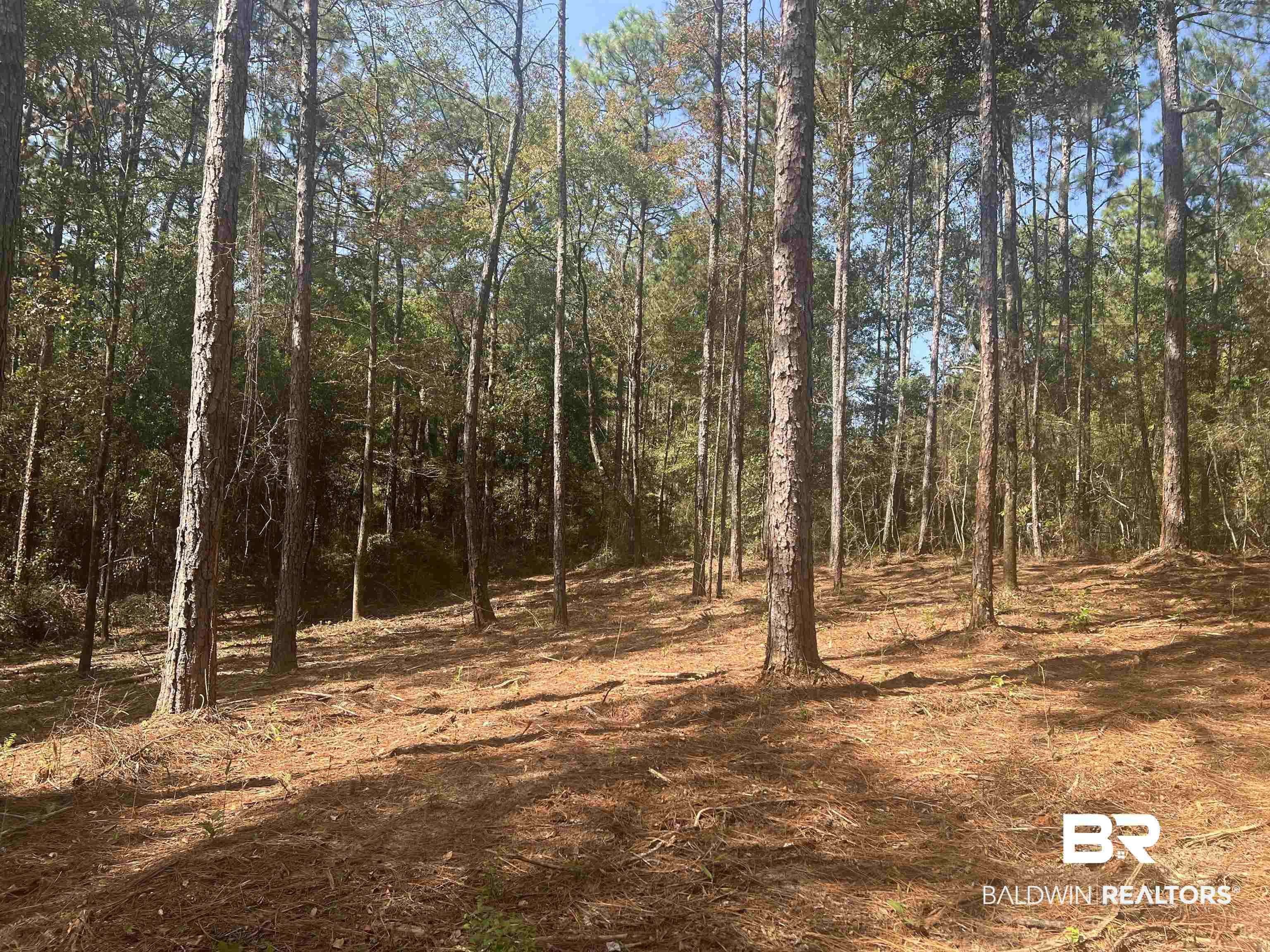 0 Highway 59 Stapleton, AL 36578 - Photo 3 of 5
