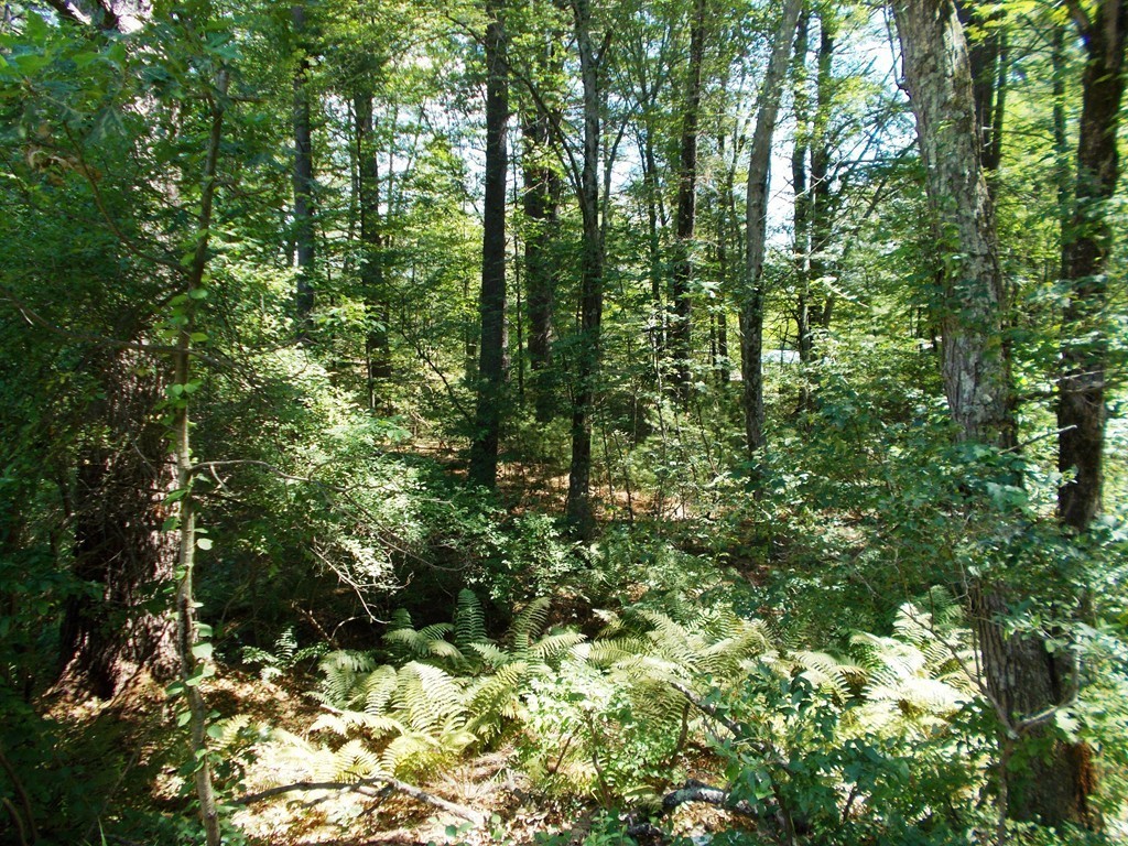 238 Hanlon Road Holliston, MA 01746 - Photo 19 of 21 Gallery Image 19