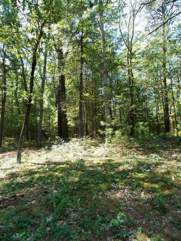 238 Hanlon Road Holliston, MA 01746 - Photo 20 of 21 Gallery Image 20