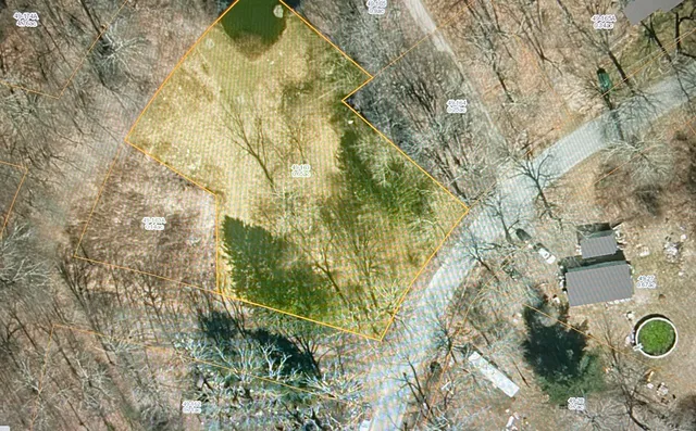 a view of a tree in front of a house