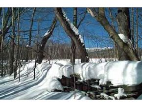 0 Vickery Hill Road Warren, VT 05674 - Photo 4 of 4