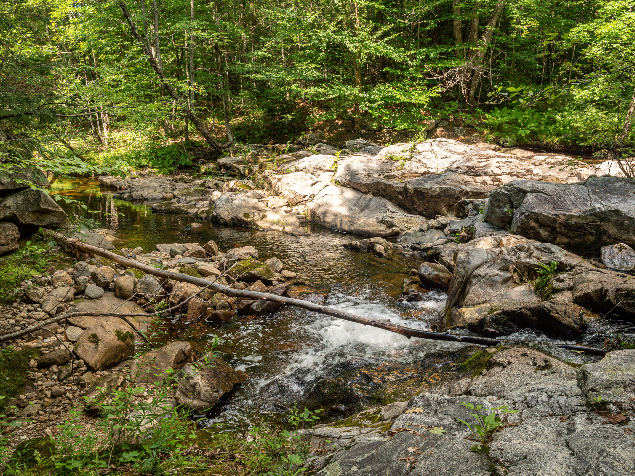 85 Hut Road Stoneham, ME 04231 - Photo 9 of 36 apbrook