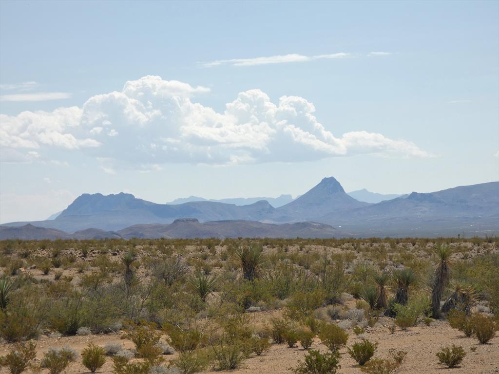 G733 Private Road Terlingua, TX 79852 - Photo 1 of 1 Gallery Image 1