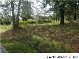 2452 Coleman Road Sylacauga, AL 35150 - Photo 9 of 11 Gallery Image 9