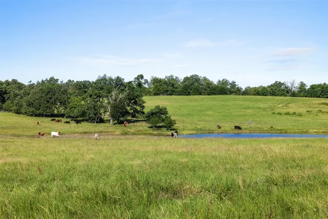 a view of a lake with houses in the back