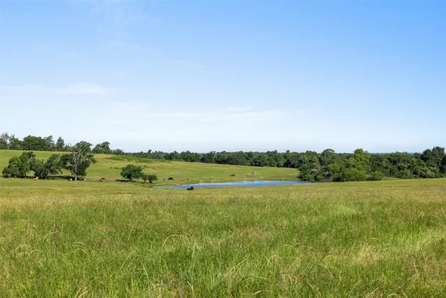 a view of a field with an ocean