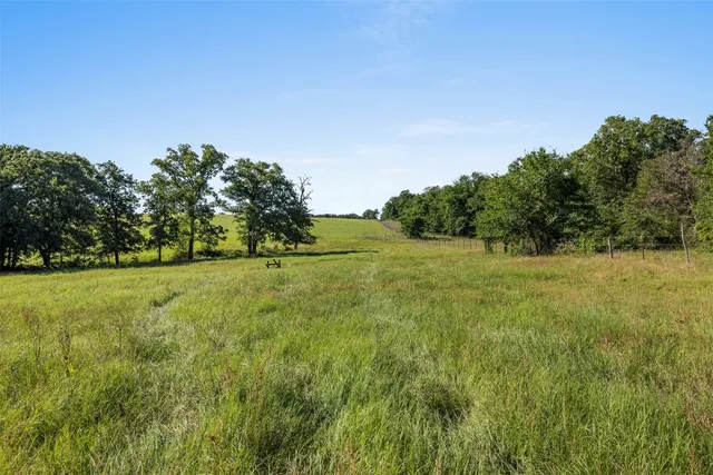 a view of a field with trees in the background