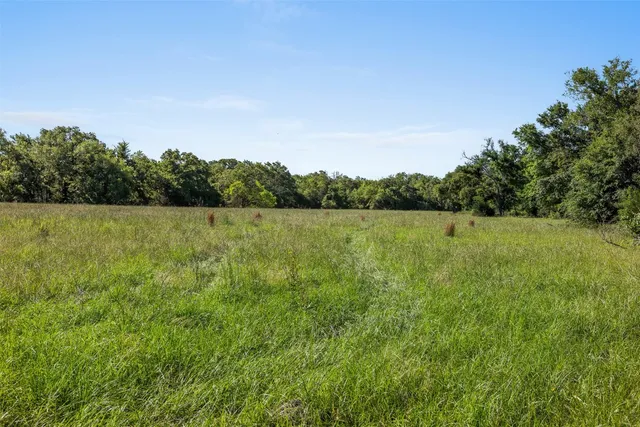 a view of a field with an ocean view