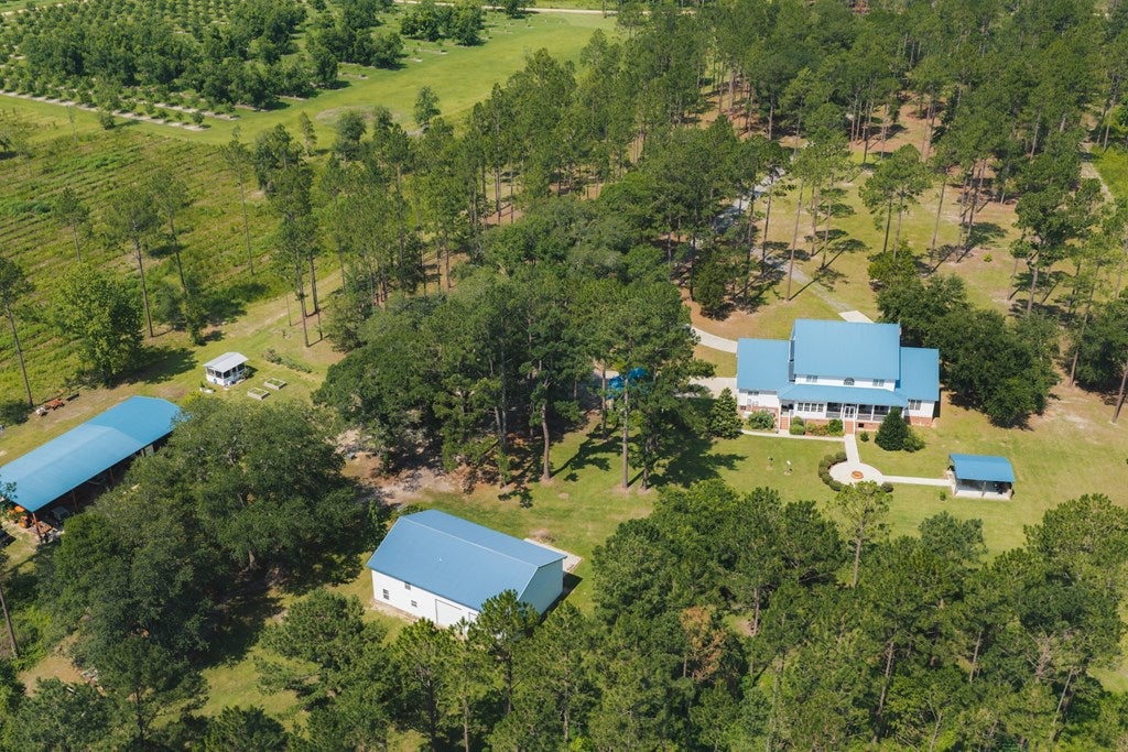 1232 Back Swindle Road Ray City, GA 31645 - Photo 39 of 50 Gallery Image 39