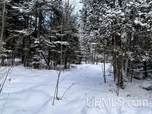 Parcel A Bootjack Road Lake Linden, MI 49945 - Photo 28 of 43 Gallery Image 28