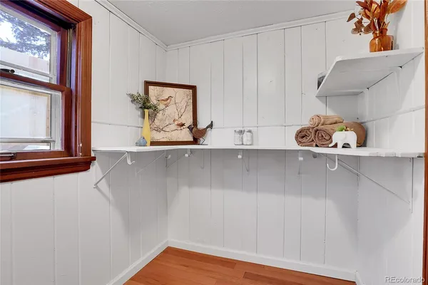 a view of a room with rack on the wall and a potted plant