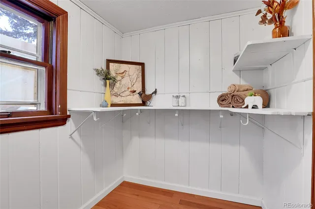 a view of a room with rack on the wall and a potted plant