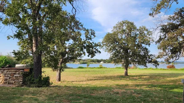 a view of yard with tree