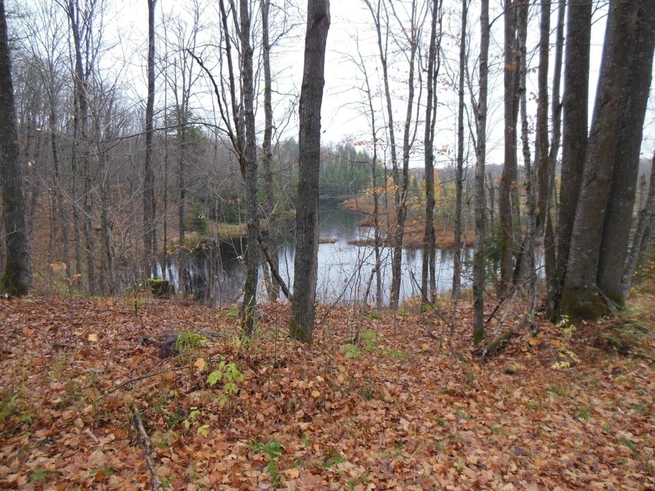 Off Off Chaney Cove Road, Unit 5 9 AC Wakefield, MI 49968 - Photo 20 of 38 Gallery Image 20