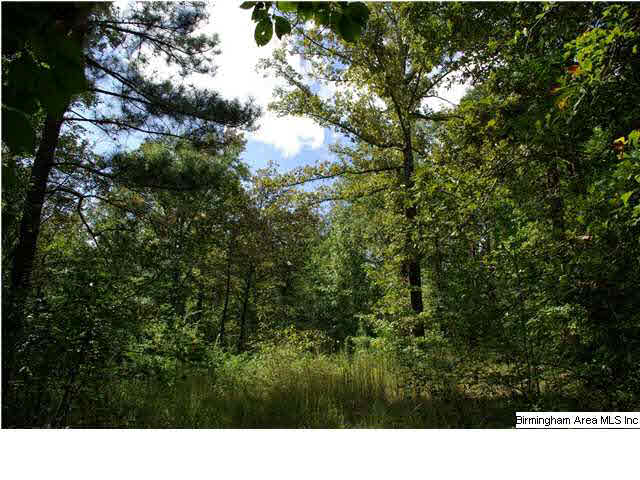 Turkey Ridge, Unit 11 Ragland, AL 35131 - Photo 23 of 31
