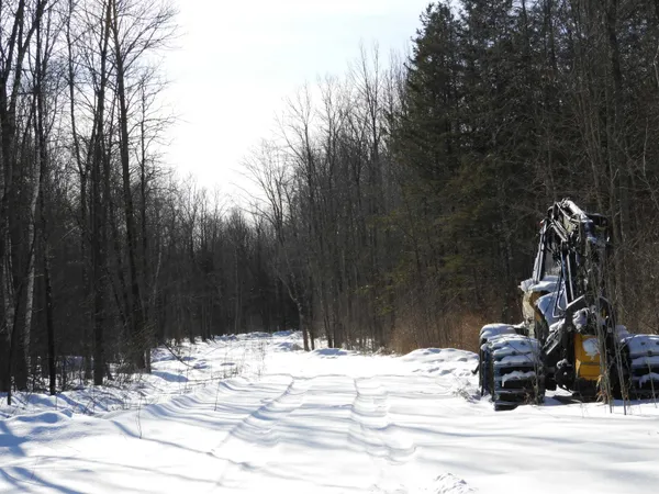 $200,000 | W1149 X County Road West, Phillips, WI 54555