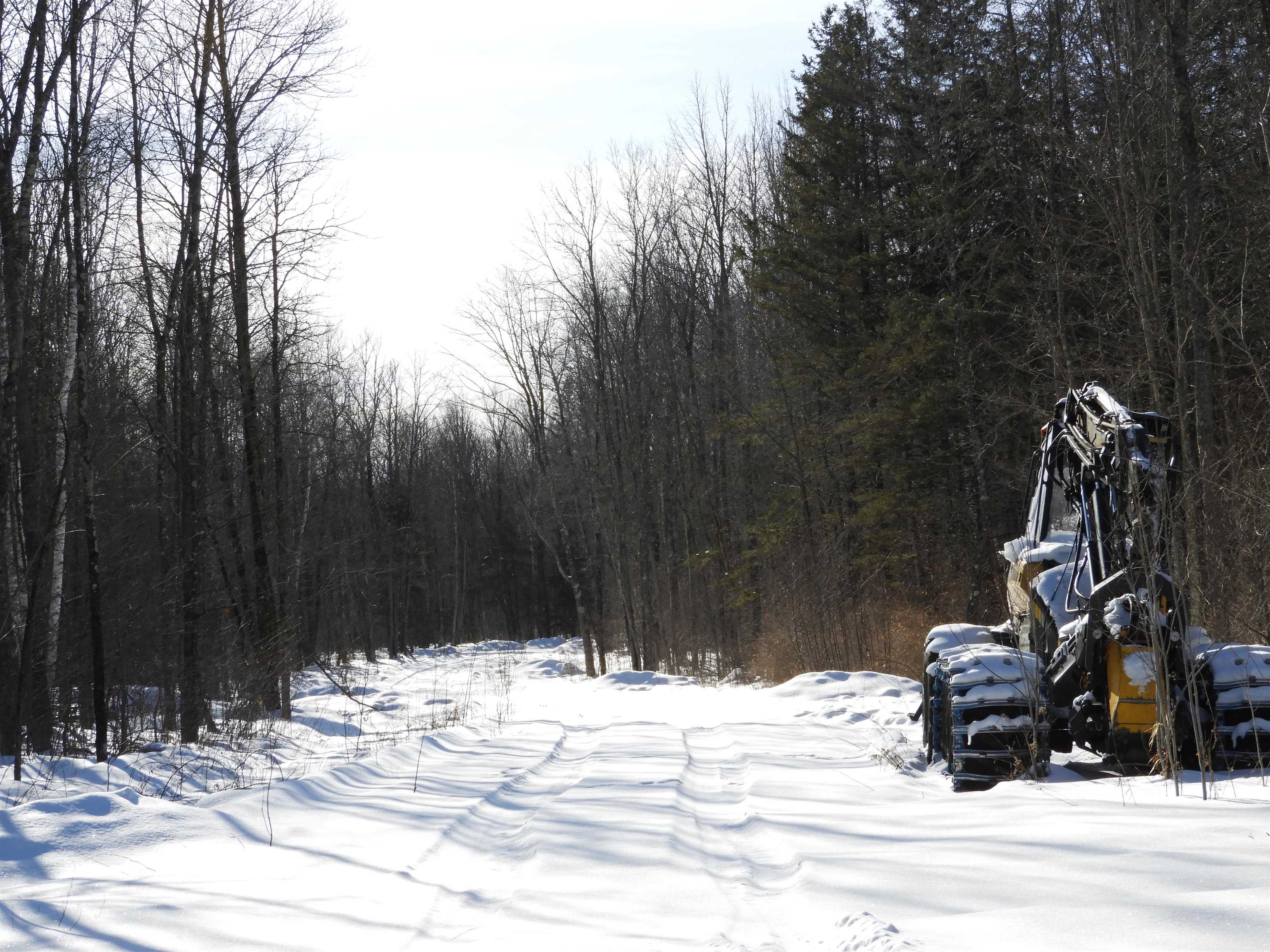 W1149 X County Road West Phillips, WI 54555 - Photo 3 of 5