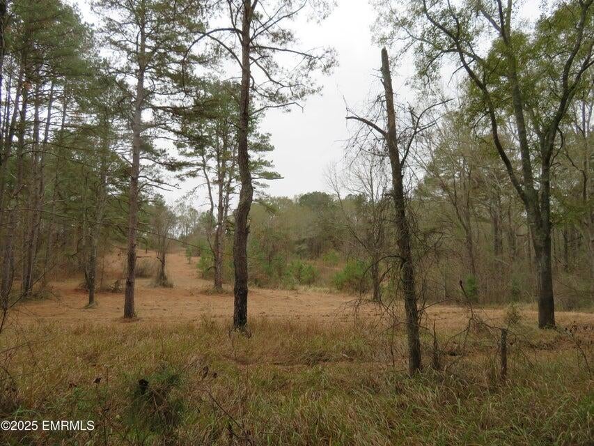 301 Co Road Heidelberg, MS 39439 - Photo 9 of 28 20251204211346227135000000-o