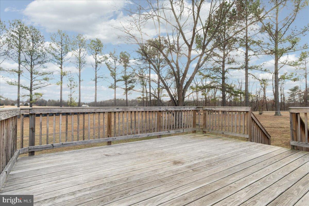 151 Tenderheart Lane Falling Waters, WV 25419 - Photo 34 of 55 Spacious deck with serene tree views.