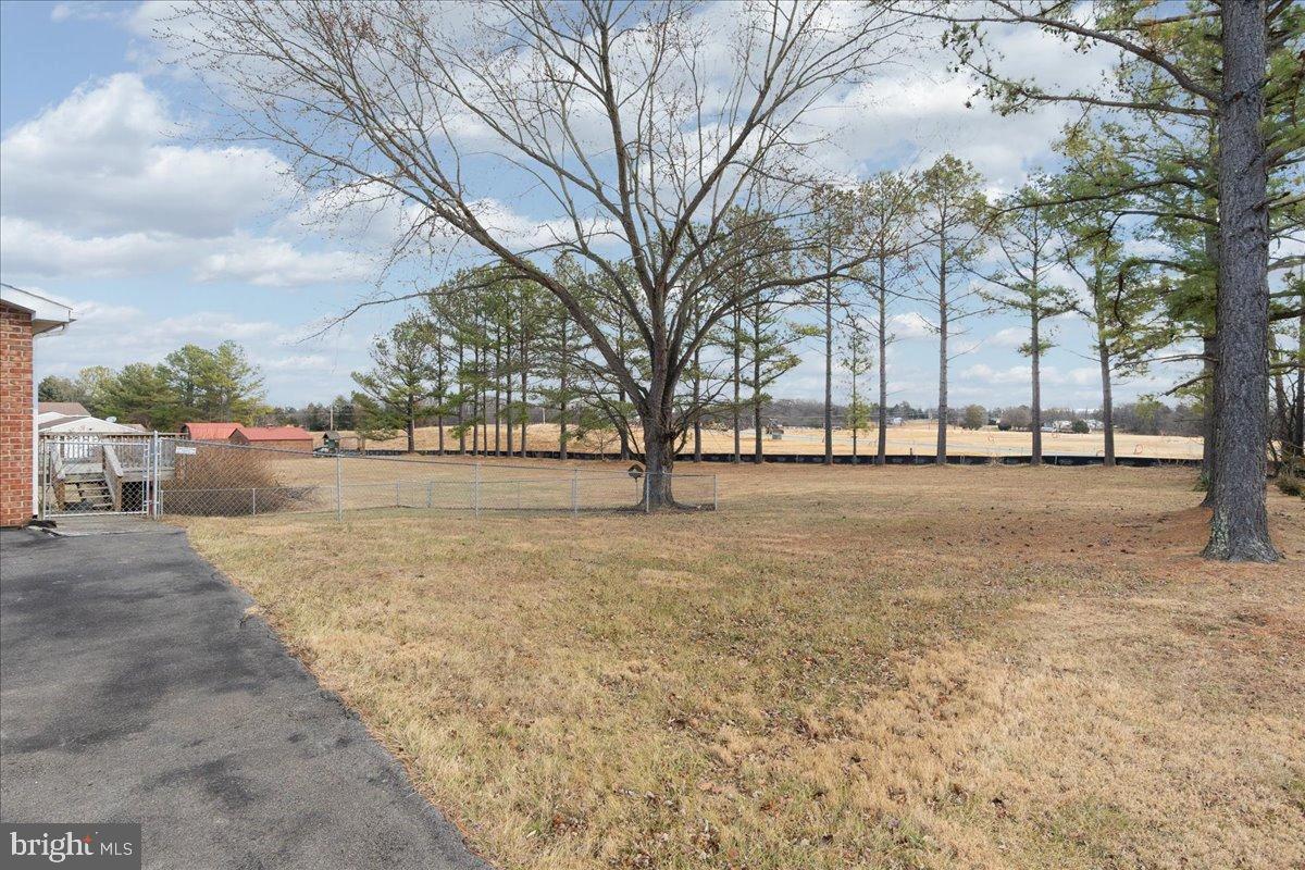151 Tenderheart Lane Falling Waters, WV 25419 - Photo 38 of 55 Spacious yard with serene tree line.