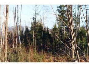 0 Birches Road Sugar Hill, NH 03585 - Photo 2 of 4