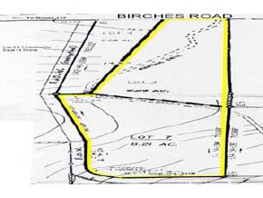 0 Birches Road Sugar Hill, NH 03585 - Photo 4 of 4