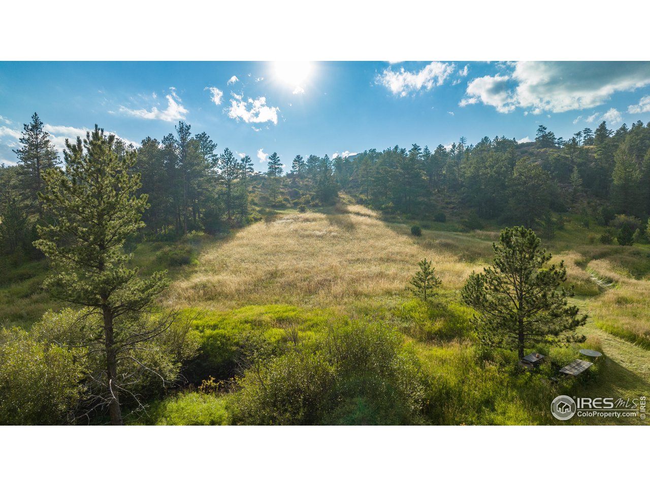 2915 Weaver Ranch Road Livermore, CO 80536 - Photo 8 of 39 Gallery Image 8