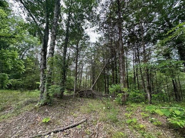 1065 Stanton Road Seymour, TN 37865 - Photo 31 of 61