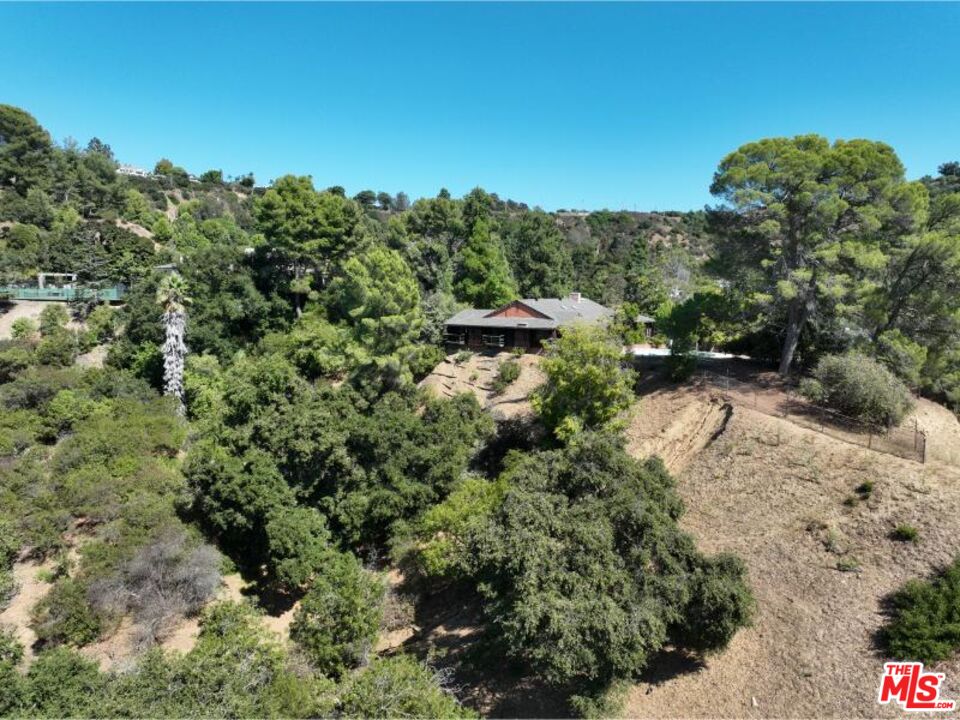 9595 Lime Orchard Road Beverly Hills, CA 90210 - Photo 12 of 12 a view of a lush green forest with lawn chairs