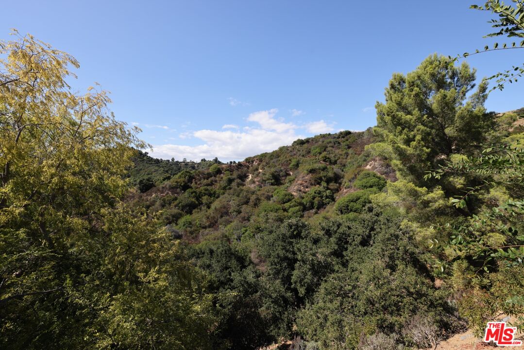 9595 Lime Orchard Road Beverly Hills, CA 90210 - Photo 6 of 12 a view of a city with lush green forest