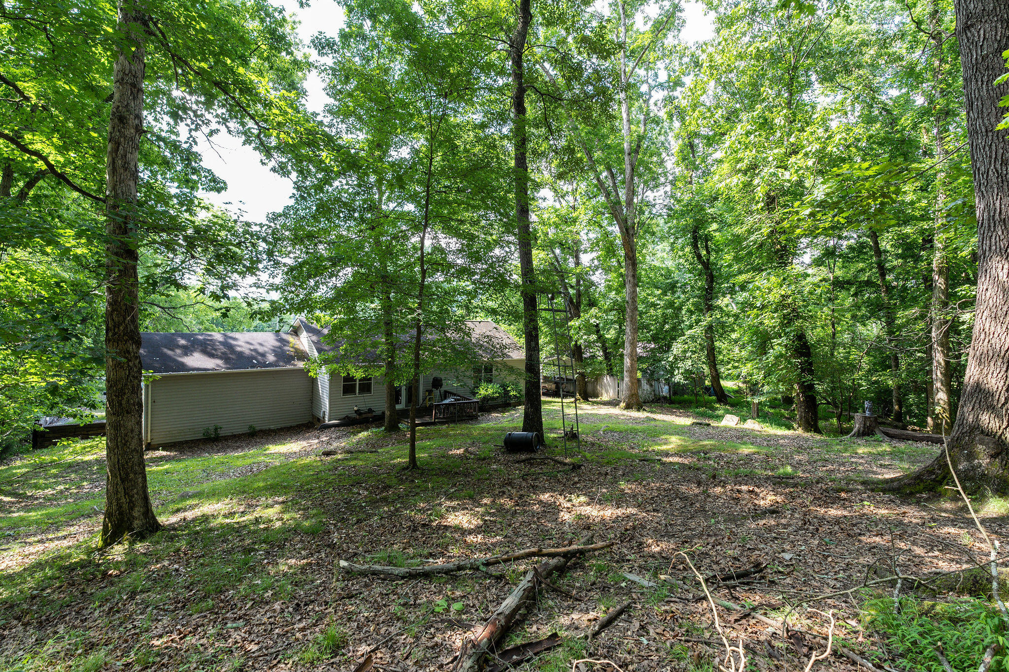 466 Boring Chapel Road Johnson City, TN 37615 - Photo 17 of 23 17