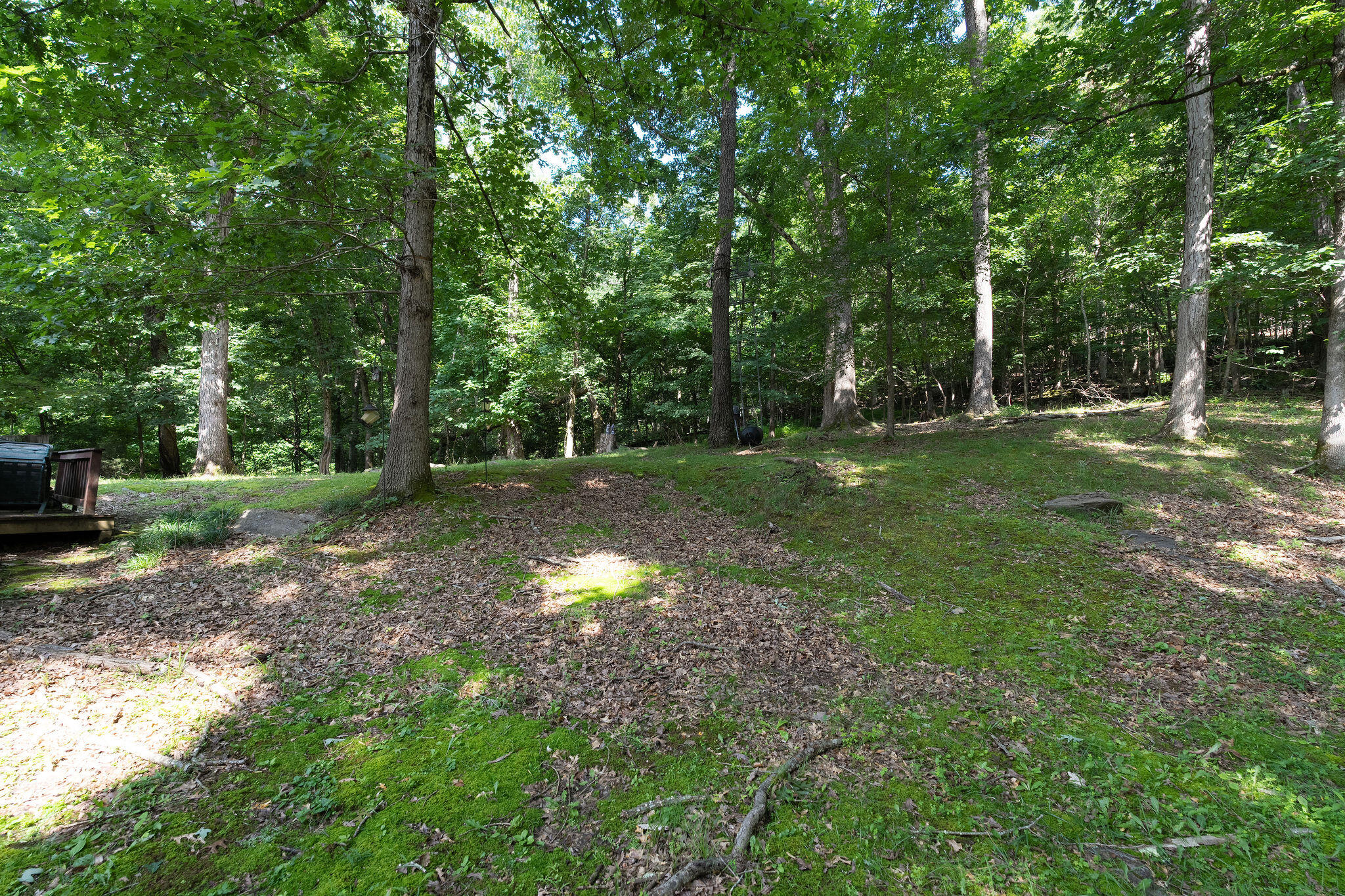 466 Boring Chapel Road Johnson City, TN 37615 - Photo 19 of 23 19