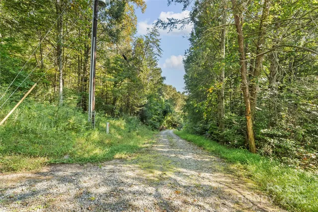 a view of a yard with plants and trees