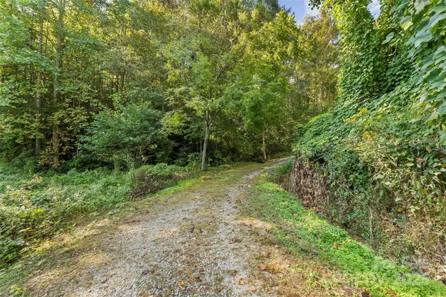 a view of outdoor space and garden