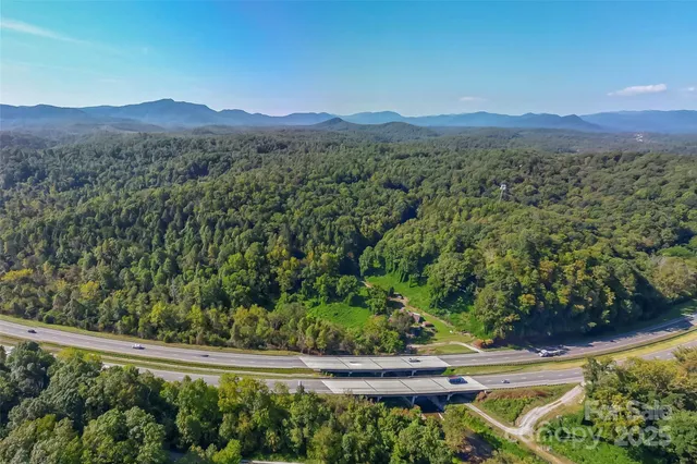 a view of a lush green hillside and a houses