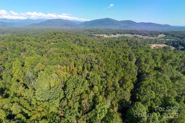 a view of a lush green field with lots of bushes