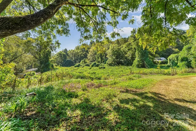 a view of a garden with a tree