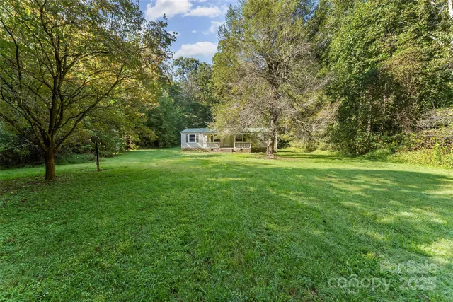 a view of a park with large trees