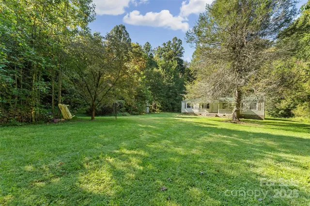 a view of a park with large trees