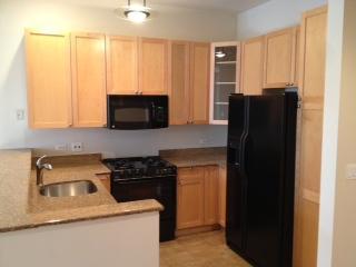 1418 North Mohawk Street, Unit 3S Chicago, IL 60610 - Photo 5 of 15 a kitchen with a refrigerator and a sink