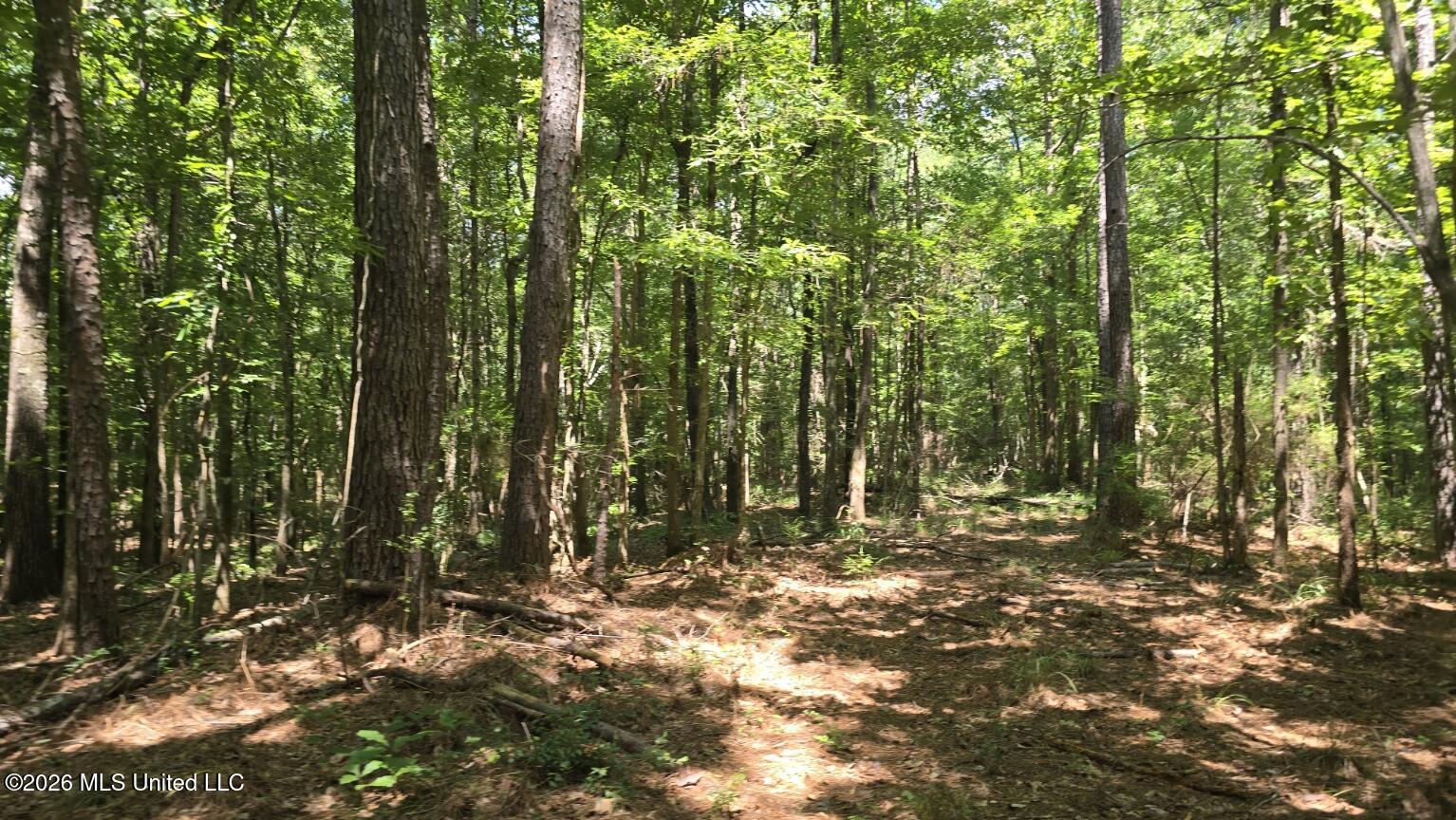 3995 Choctaw Road Brookhaven, MS 39601 - Photo 38 of 73 20260709_114342